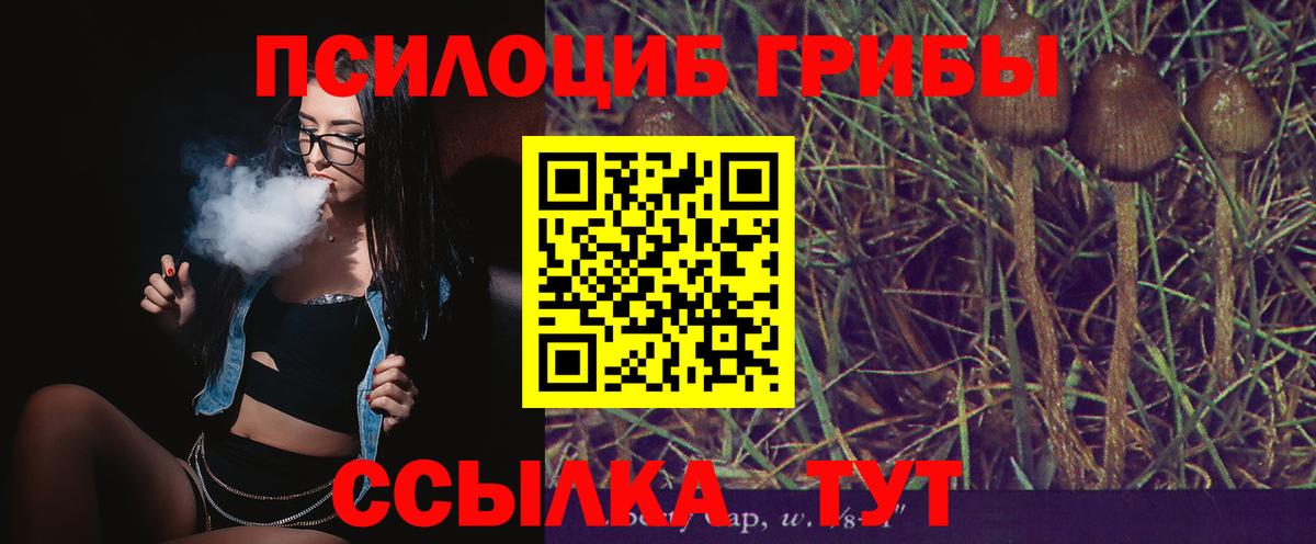 Галлюциногенные грибы мухоморы Буйнакск